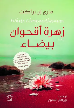 زهرة أقحوان بيضاء
